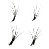 Individual Flare False Lashes - Short 10mm