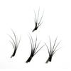 Individual Flare False Lashes - Short 10.5mm (5 Pack)